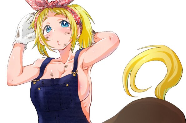 53