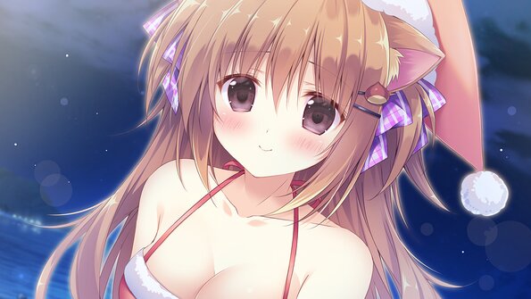 29