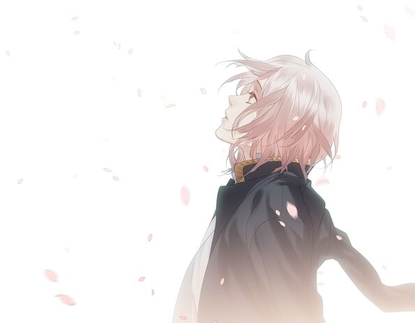 CG43D