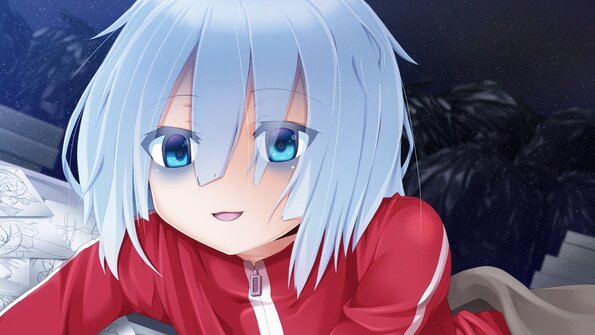 ev11a_2