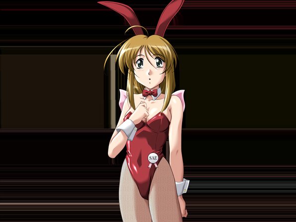 504
