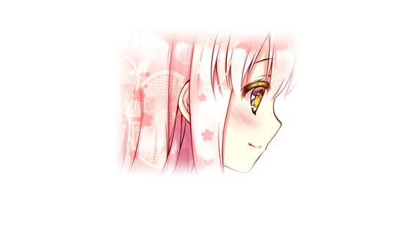 EV013_sae