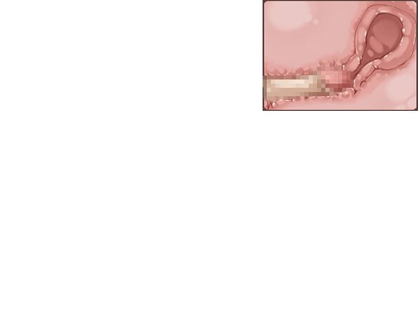 ev_hapy_bc_ct01