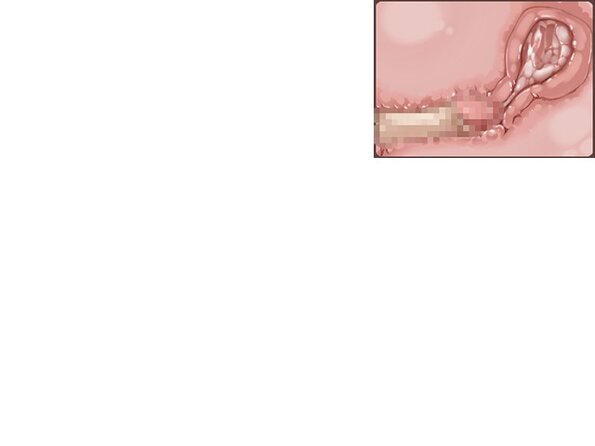 ev_hapy_bc_ct03