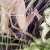 ev_kumo_hc3