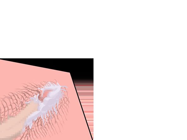 ev_mukade_ct05