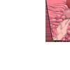ev_page65537_ct01