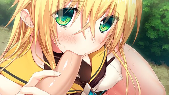 A11_d