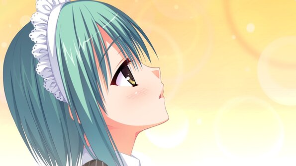 EV219AA