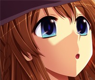 223