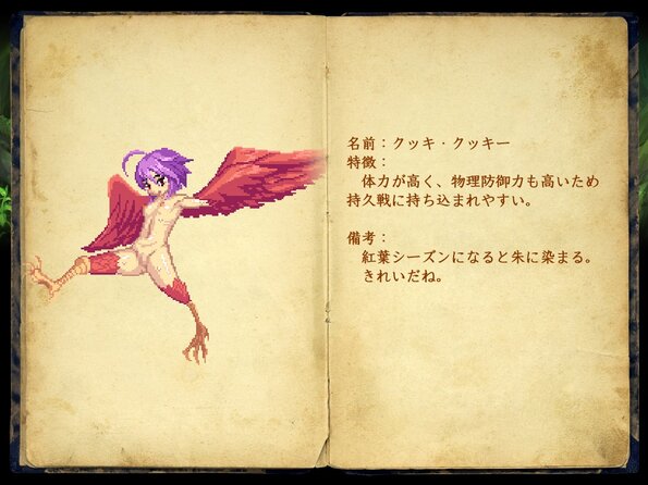 264_enemy_book_00