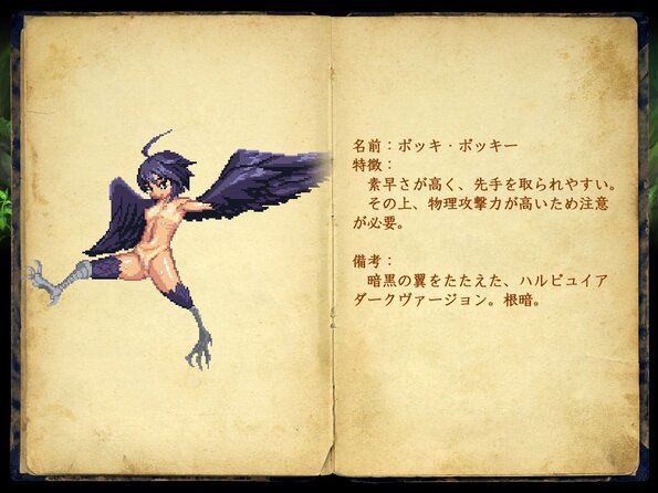 266_enemy_book_02