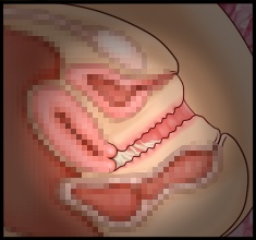 CG10a_01