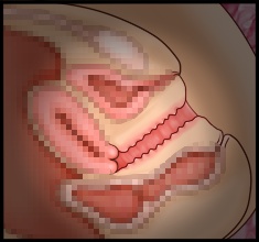 CG10a_01b