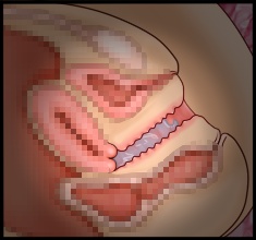 CG10a_01c