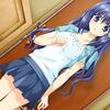 ev_miou_11a