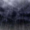 live_110_4110