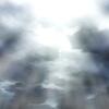 live_110_4111