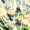 duel-savior-justice_0410