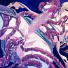 opn_h01_17a