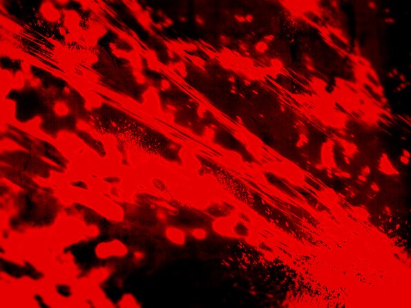 0005
