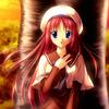 if_ev11_b