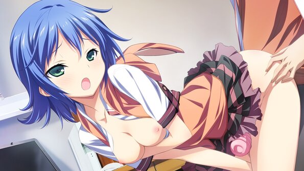 00225_visual_tsubomi_h03b