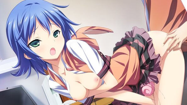 00228_visual_tsubomi_h03e