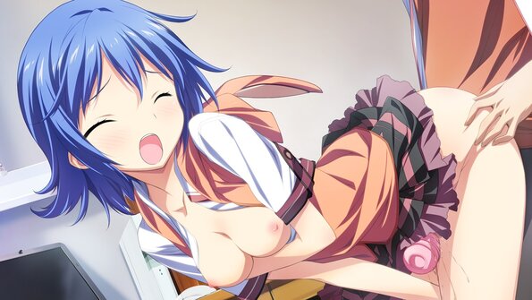 00229_visual_tsubomi_h03f
