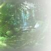 00250_visual_extramode