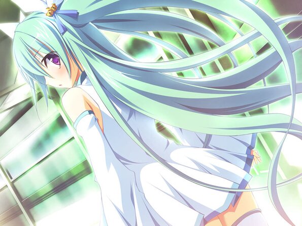 osana245