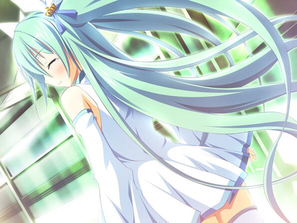 osana246