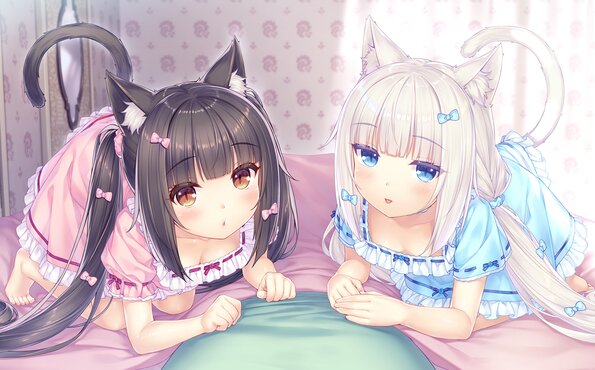 005_neko4_cs01a