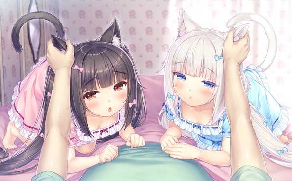 007_neko4_cs01f