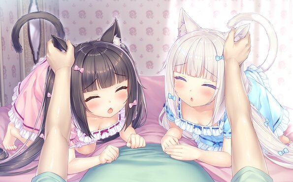 008_neko4_cs01g