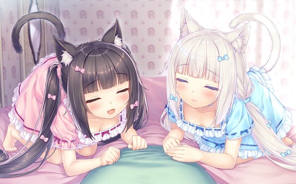 009_neko4_cs01h