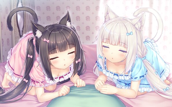 010_neko4_cs01i