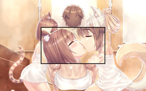 015_neko4_cs02e