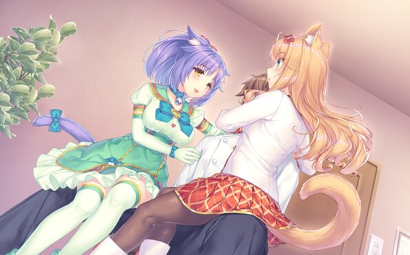 017_neko4_cs03a