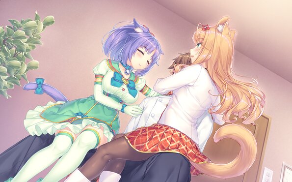 020_neko4_cs03d