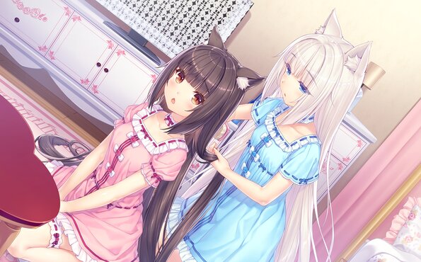 021_neko4_cs04a