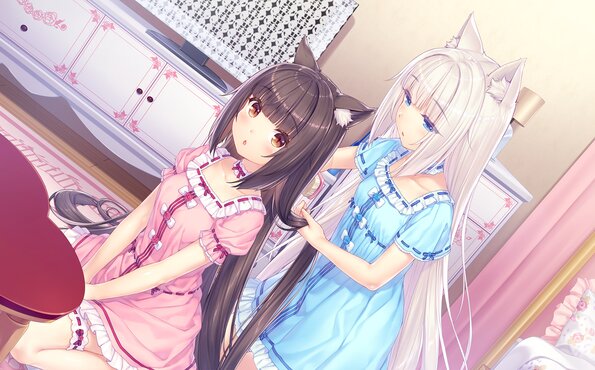 023_neko4_cs04c