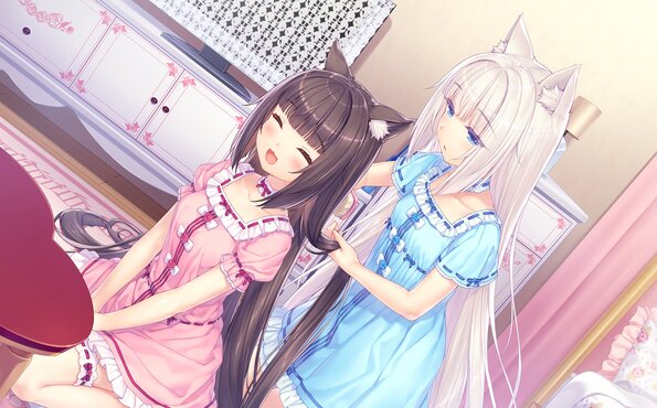 026_neko4_cs04g