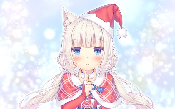 029_neko4_cs05a