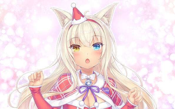 035_neko4_cs05g