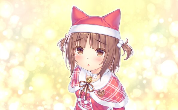 037_neko4_cs05i