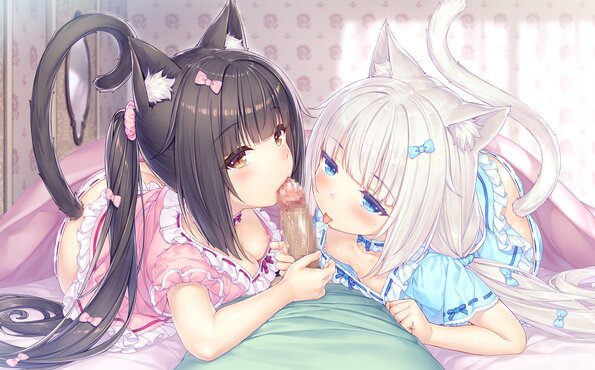 042_neko4_h01a