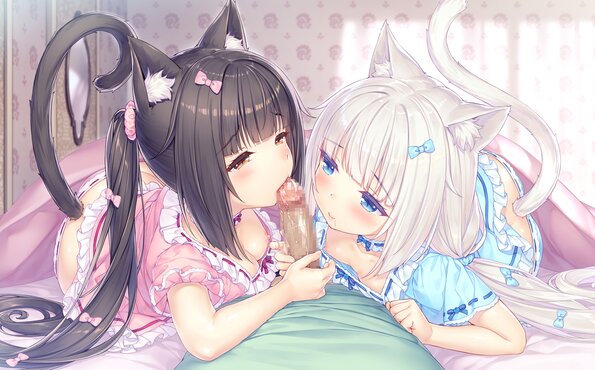 048_neko4_h01g