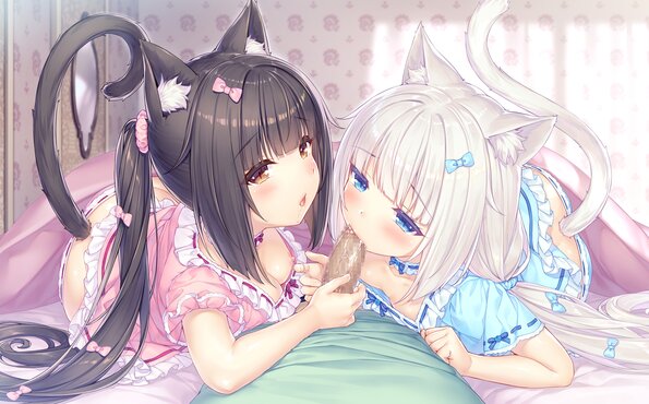 050_neko4_h01i