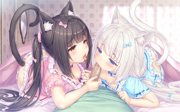 052_neko4_h01k